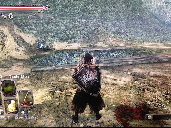 dark_souls_shaded_woods_1.jpg